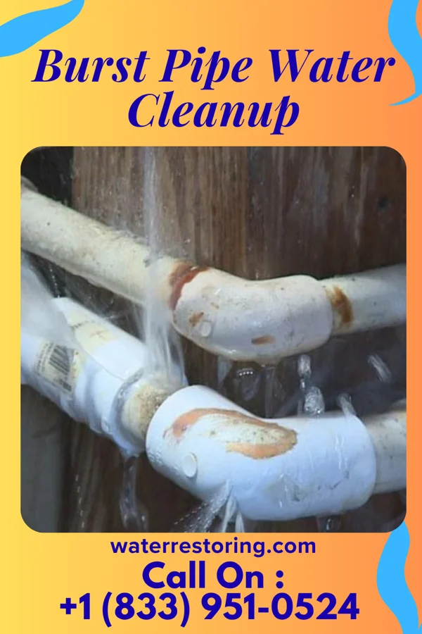 Burst Pipe Water Cleanup in Jasper, MN