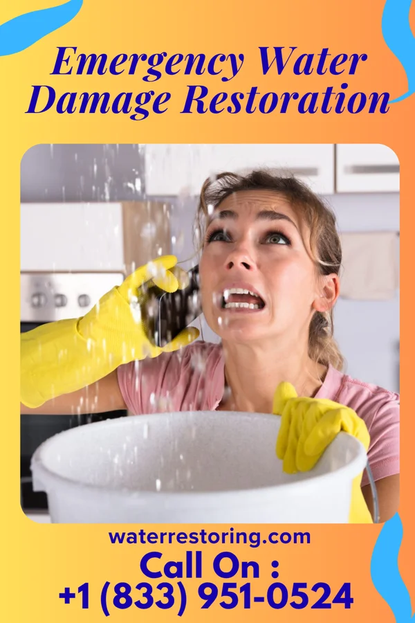 Emergency Water Damage Restoration in Jasper, MN
