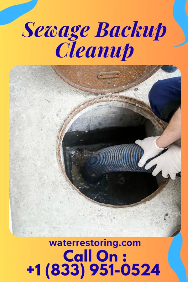 Sewage Backup Cleanup in Jasper, MN