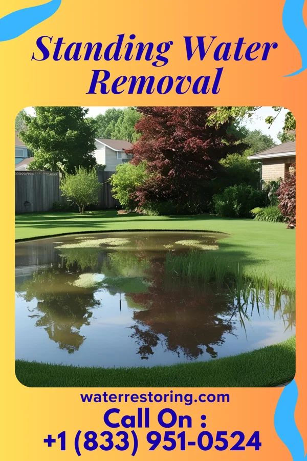 Standing Water Removal in Jasper, MN